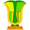 Атлетико Палмафлор