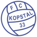 Копстал 33