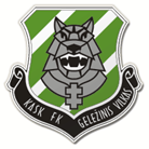 Гелезинис Вилкас