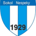 Сокол Неспеки