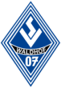 Валдхоф Маннхейм U19