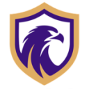 Фалкон U17