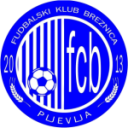 Брезника