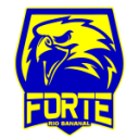 Форте FC