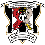 Сефн Друидс AFC