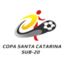 Copa Santa Catarina