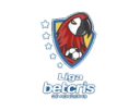 Liga Nacional