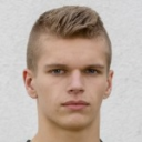 Л. Хедлунд