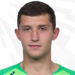 Н. Рибиков
