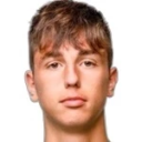 Д. Велимировик