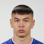 В. Вейдерсйое