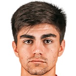 А. Цараев