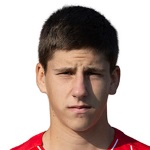 В. Милетик