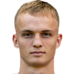 Н. Тауер