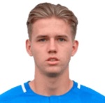 Л. Холткамп