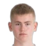 ДЖ. Арнарссон