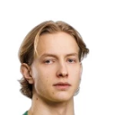 Т. Хитонен