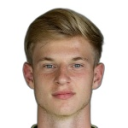 Д. Кирнбауер