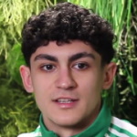 М. Велиджев