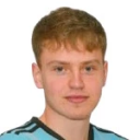 ДЖ. Нилсен