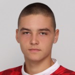 Н. Дековик