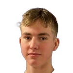 К. Стейнсет