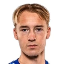 Л. Моллер