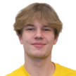 Л. Нокелайнен