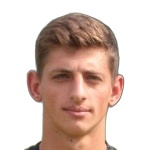 В. Дубилей