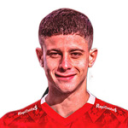 Л. Роман