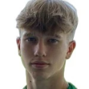 И. Мендолин