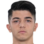 Ş. Дик