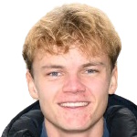 ДЖ. Несланд