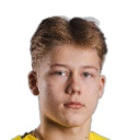М. Силтанен