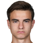 Д. Падерин