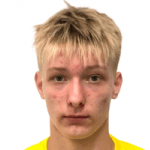 Н. Никифоров