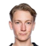 Х. Авиандер