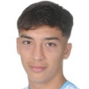 Н. Гаджзлер