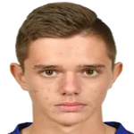 Г. Гогеску