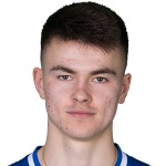 В. Плеснировикз