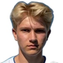 Н. Лассен