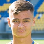 В. Țику