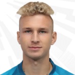 Д. Шамкин