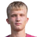 Д. Виденовик