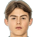 З. Равик