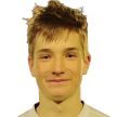 Р. Леппик