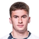 Л. Врзик