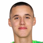 Дусан Беговик