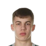 М. Ковалевскис