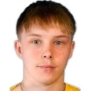 Р. Тикканен